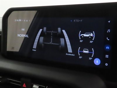 TOYOTA LAND CRUISER 250 - 7