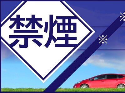 MERCEDES-BENZ C-CLASS ALL-TERRAIN - 2