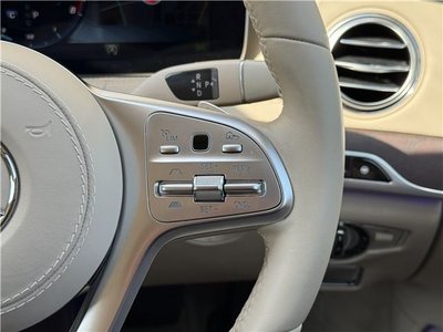2019 Mercedes-BENZ S-CLASS 缩略图 66