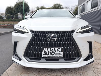 LEXUS NX - 2