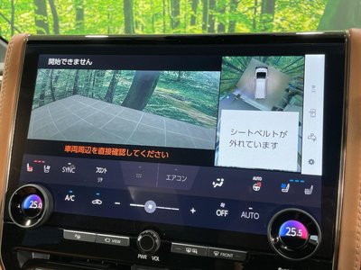 Thumbnail 36