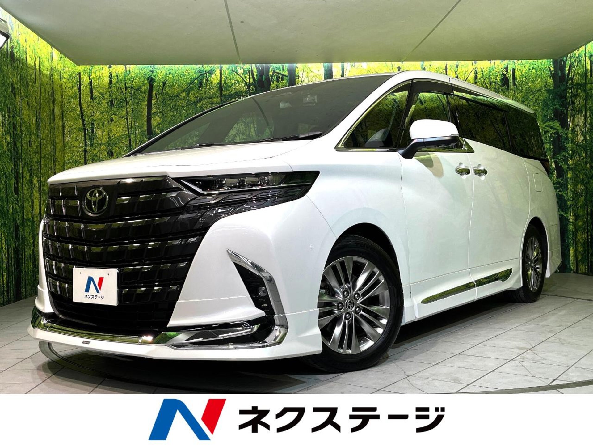 TOYOTA ALPHARD - View 1