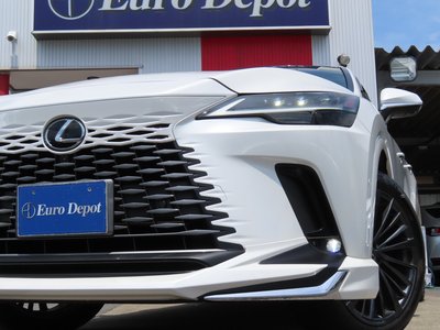 2025 Lexus RX 缩略图 24
