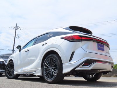 2025 Lexus RX 缩略图 44