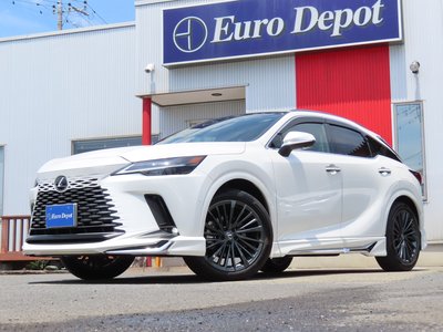 2025 Lexus RX 缩略图 81