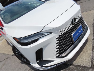 2025 Lexus RX 缩略图 31