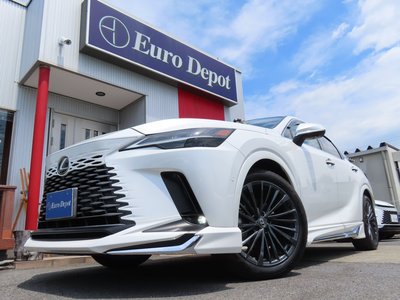 2025 Lexus RX 缩略图 23