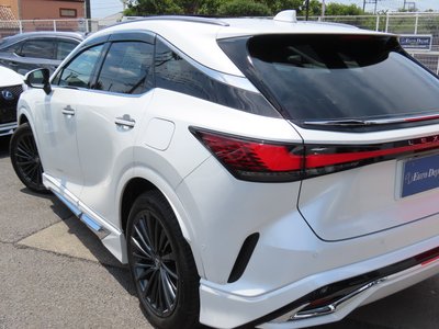 2025 Lexus RX 缩略图 43