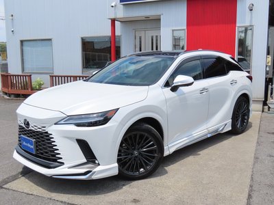 2025 Lexus RX 缩略图 27