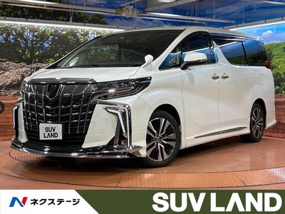 2021 TOYOTA ALPHARD 照片 1
