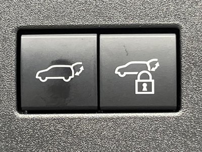 TOYOTA LAND CRUISER 250 - 6