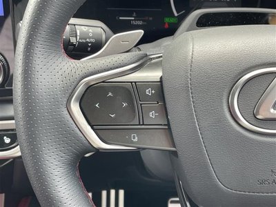 2025 Lexus RX thumbnail 18