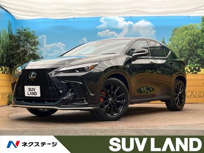 LEXUS NX - 1