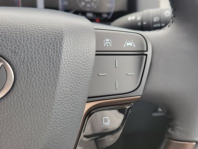 2026 TOYOTA ALPHARD 缩略图 13