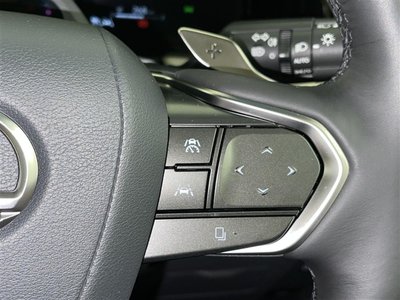 2024 Lexus LM photo 10
