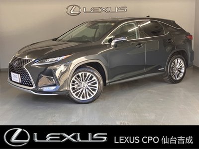 LEXUS RX - 1