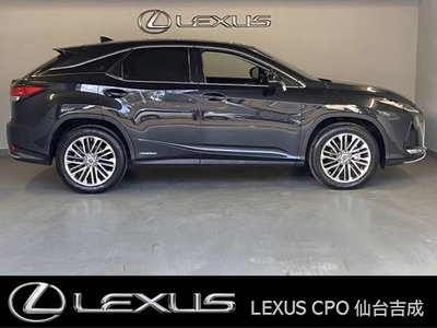 LEXUS RX - 6