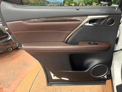 2019 Lexus RX thumbnail 63