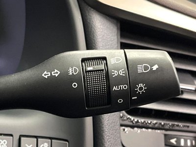 2019 Lexus RX thumbnail 34