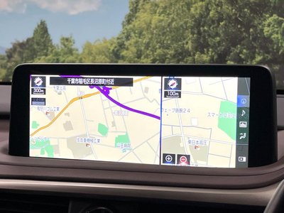 2019 Lexus RX thumbnail 22