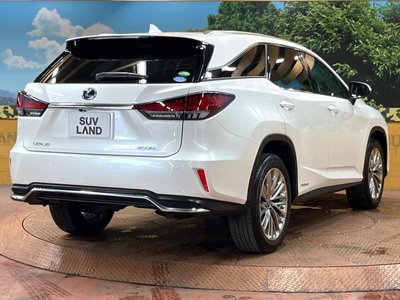 2019 Lexus RX thumbnail 18