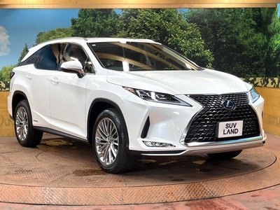 2019 Lexus RX thumbnail 17