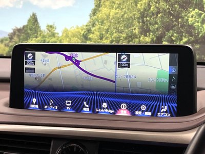 2019 Lexus RX thumbnail 23