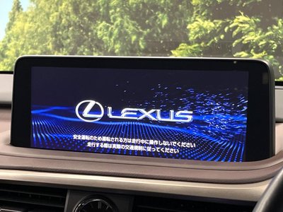 2019 Lexus RX — фото 3