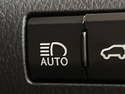 2019 Lexus RX thumbnail 42