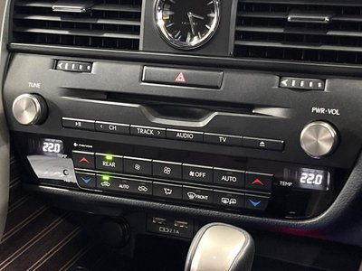 2019 Lexus RX thumbnail 24