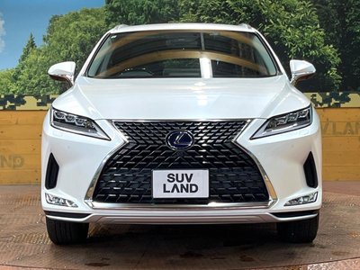 2019 Lexus RX thumbnail 15