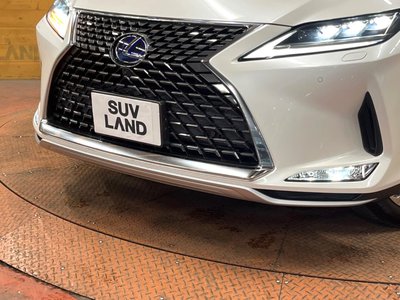 2019 Lexus RX thumbnail 71