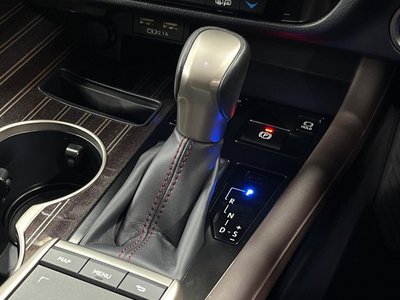 2019 Lexus RX thumbnail 25