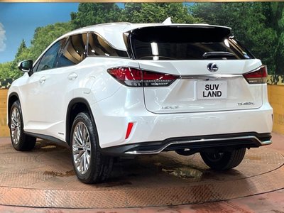 2019 Lexus RX thumbnail 74