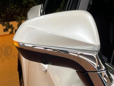 2019 Lexus RX thumbnail 70