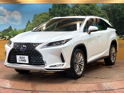2019 Lexus RX thumbnail 72