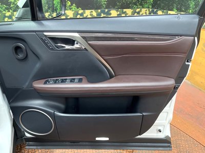 2019 Lexus RX thumbnail 51