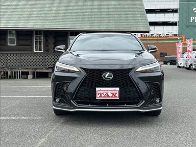 صورة مصغرة 19 لـ 2023 Lexus NX
