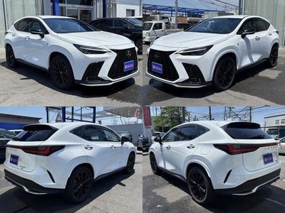 2023 Lexus NX — миниатюра 71