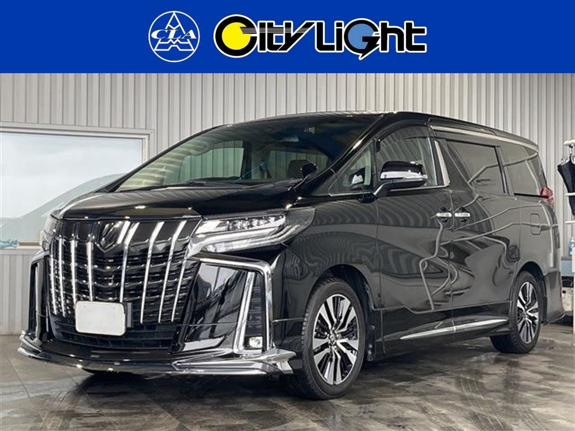 TOYOTA ALPHARD - View 1