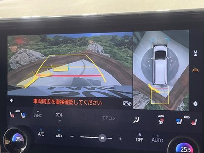 2024 Toyota ALPHARD 照片 6