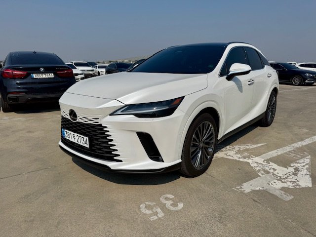 LEXUS RX - View 1
