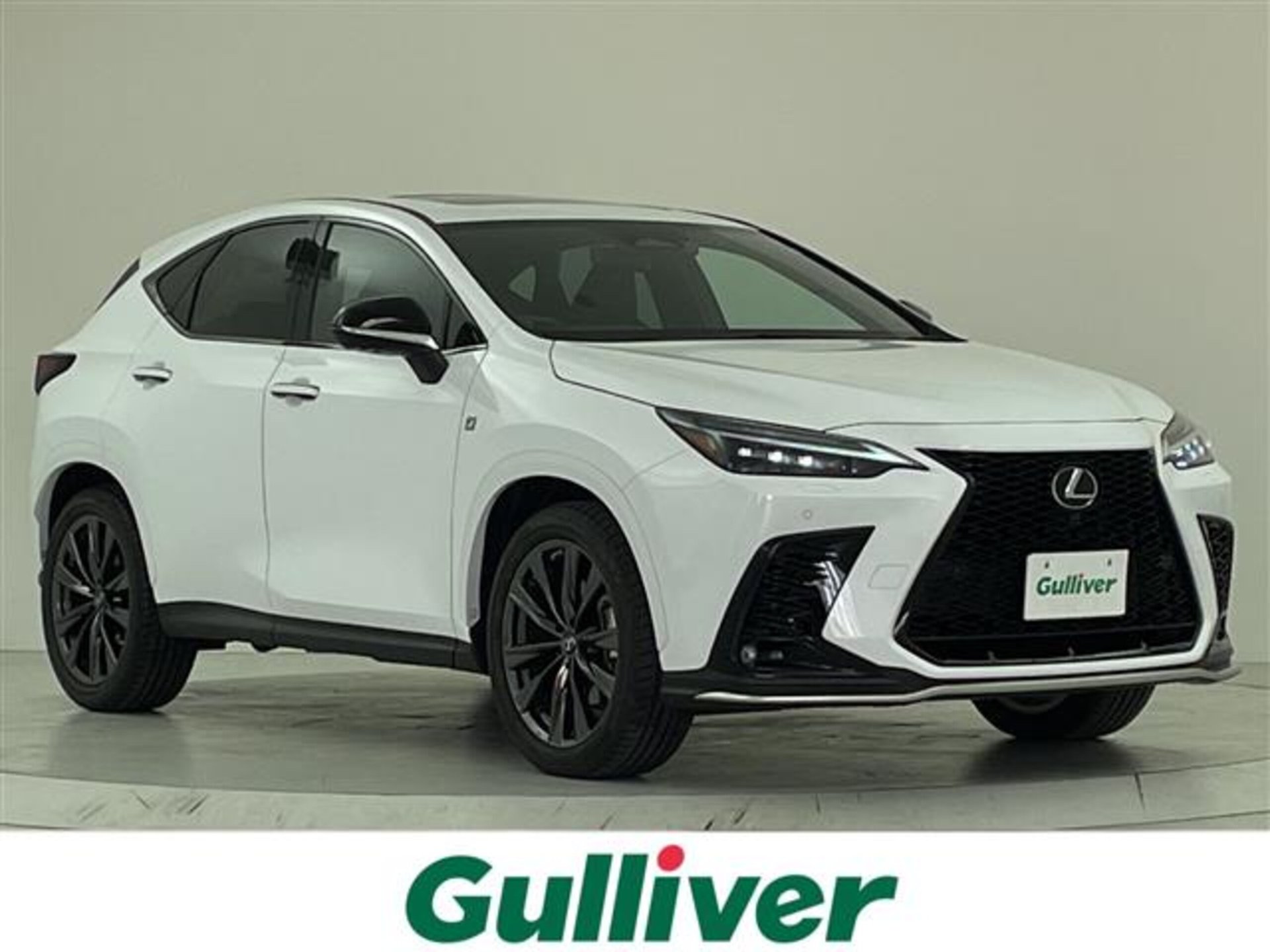 LEXUS NX - View 1