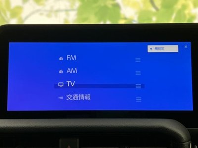 TOYOTA LAND CRUISER 250 - 10