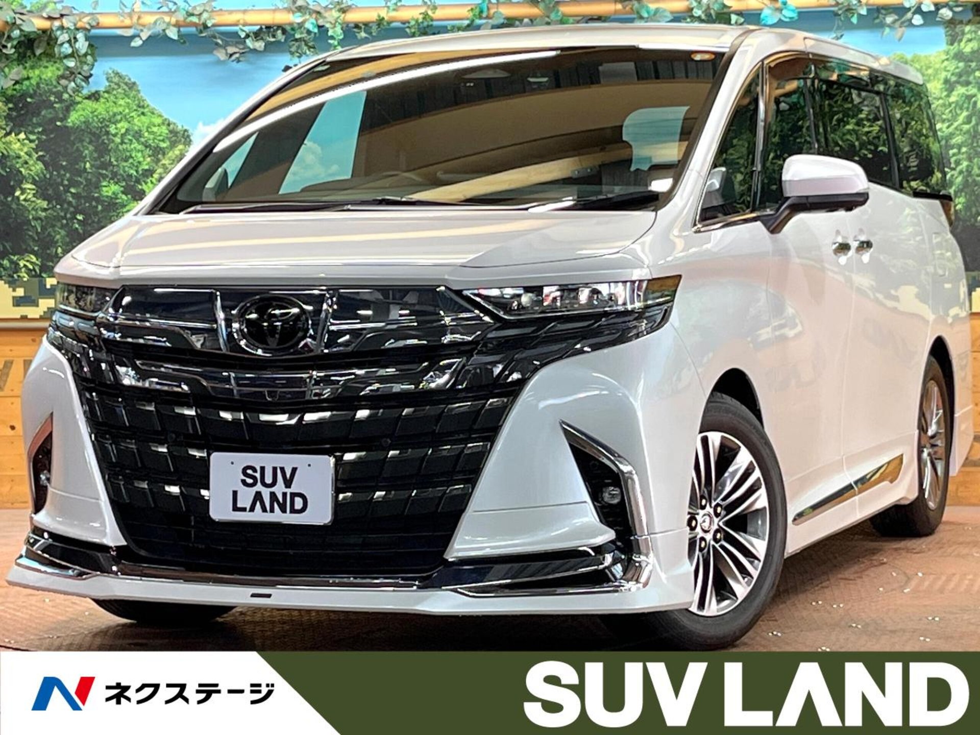 TOYOTA ALPHARD - View 1