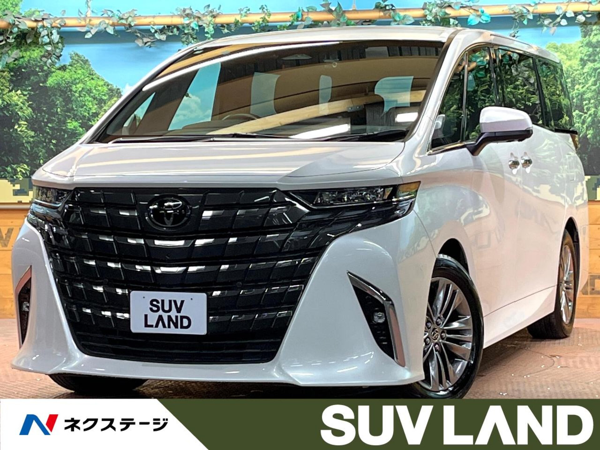 TOYOTA ALPHARD - View 1