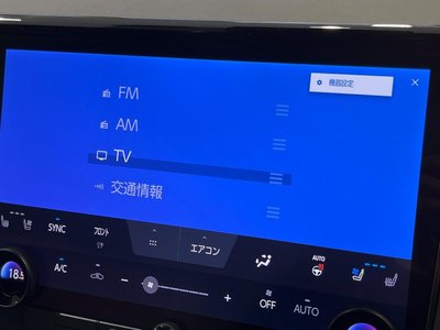 2023 TOYOTA ALPHARD thumbnail 32