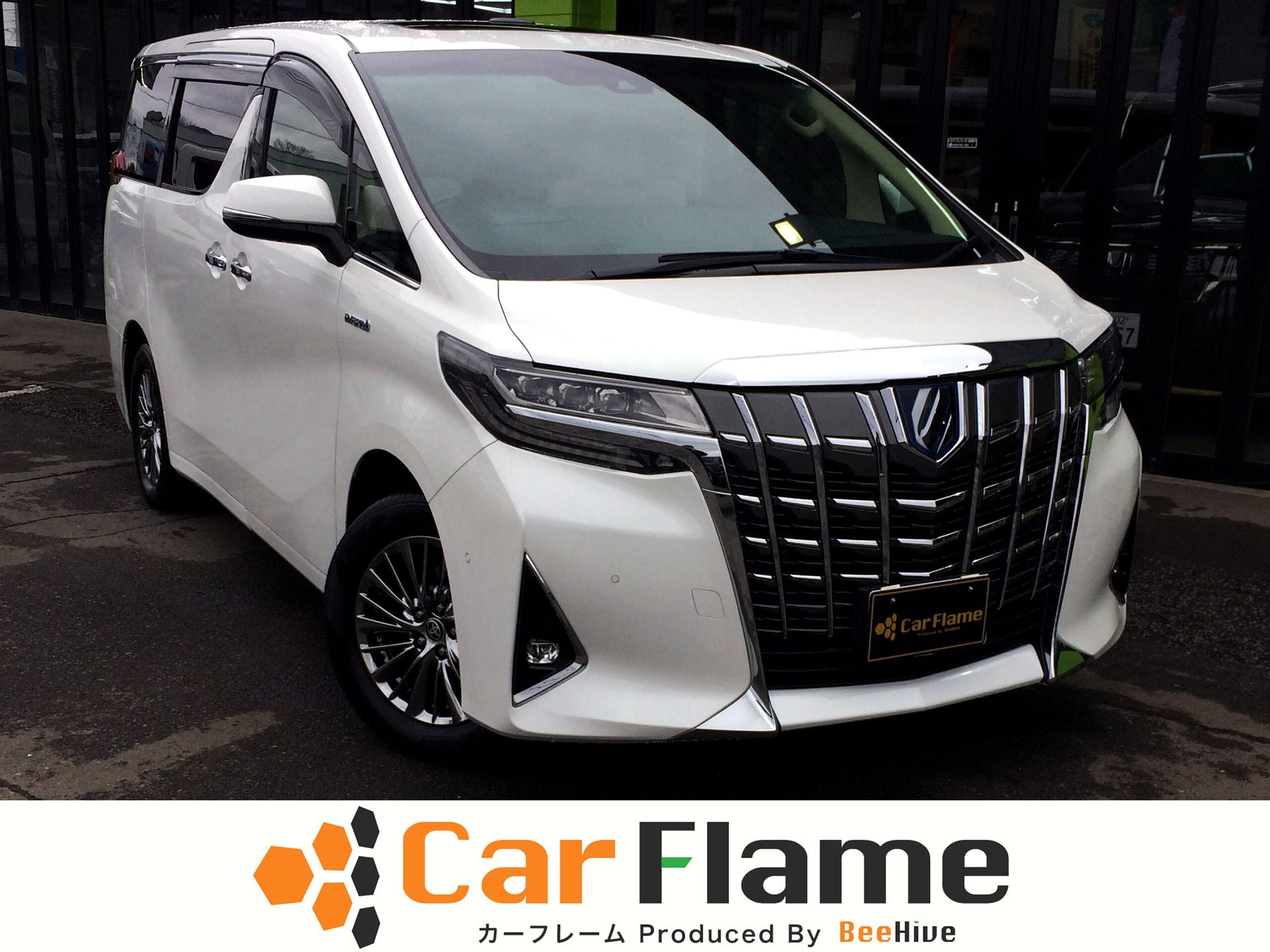 TOYOTA ALPHARD - View 1