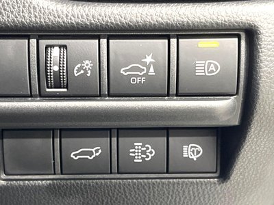 2025 Toyota LAND CRUISER 250 缩略图 46