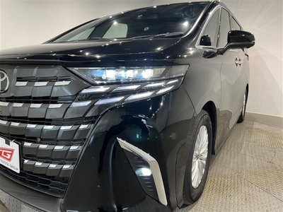2025 Toyota ALPHARD — миниатюра 34